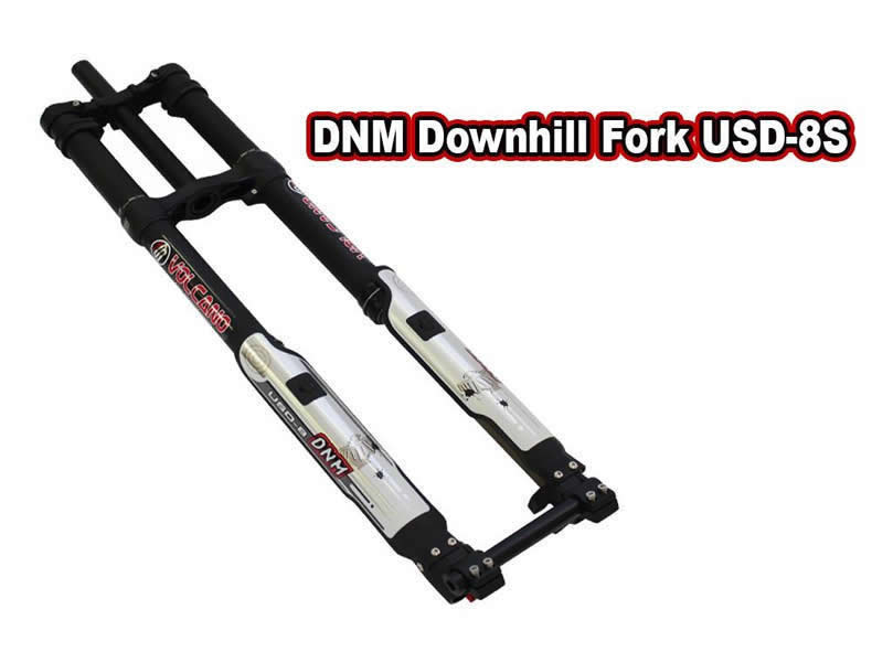 Light Bee DNM Downhill Fork USD-8S photo