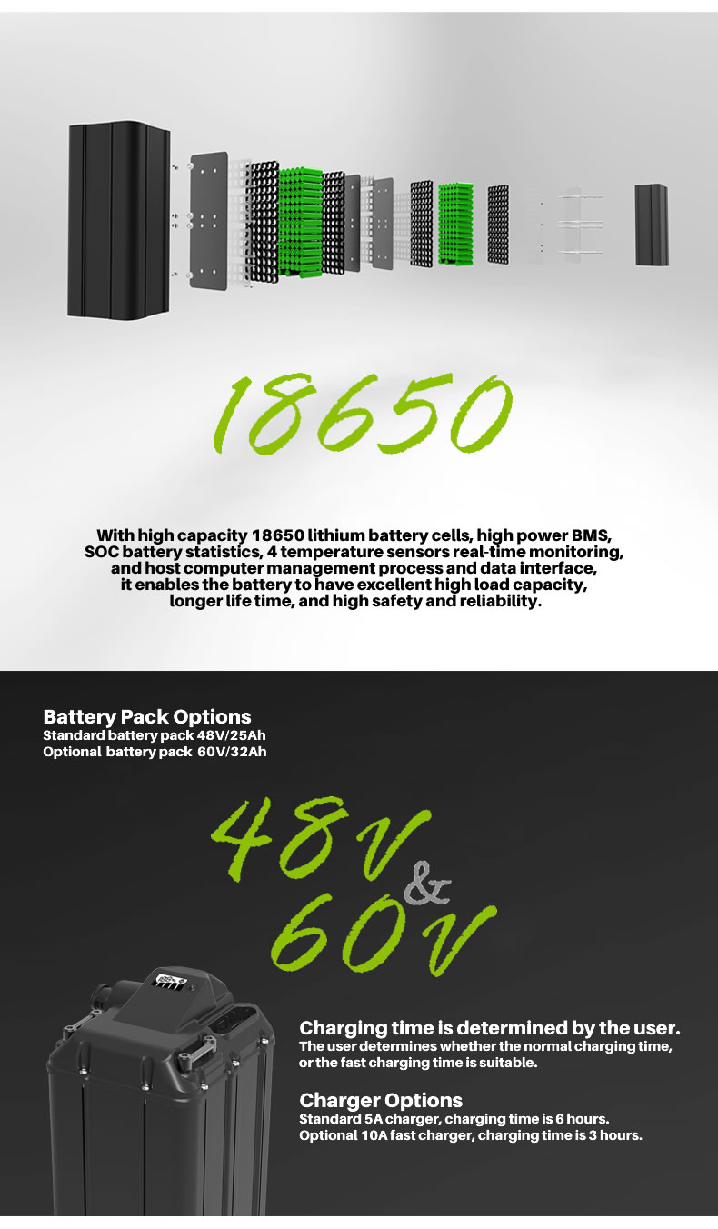 Light Bee battery pack exploded view 18650 lithium cells photo
