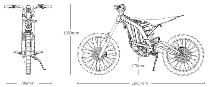Light Bee Dimensions